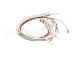 B6710001 Pitco Wiring Harness,Elem E14,E18