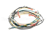 B6713901-C Pitco Wiring,Entr Box 18Wks Pilot 115V