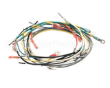 B6713901-C Pitco Wiring,Entr Box 18Wks Pilot 115V