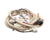 B6728101 Pitco Wiring,Control Fv Adv