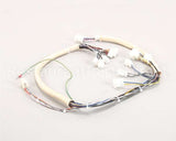 B6747101 Pitco Wiring,Spinal Tap Lwr W/Rel Brd S
