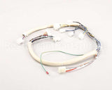 B6747101 Pitco Wiring,Spinal Tap Lwr W/Rel Brd S