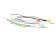 B6748201 Pitco Wiring,Harness Transformer Box Sg W/Wrb