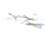 B6748701 Pitco Wiring,Box Pmp Sfd