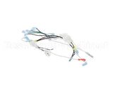 B6748701 Pitco Wiring,Box Pmp Sfd