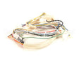 B6751101 Pitco Wiring,Spinal Tap Lower Dg