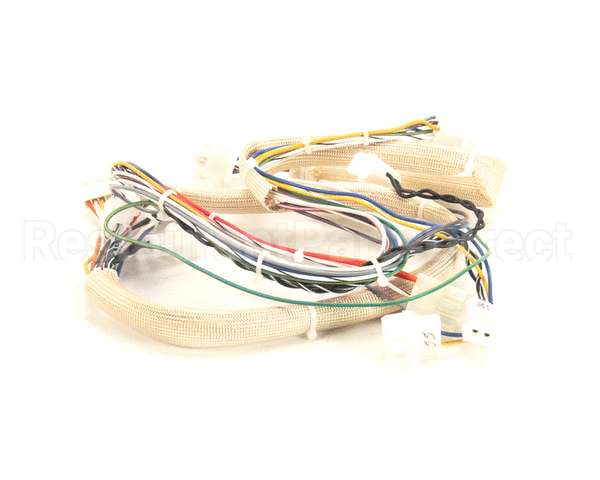 B6751101 Pitco Wiring,Spinal Tap Lower Dg
