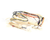 B6751101 Pitco Wiring,Spinal Tap Lower Dg