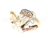 B6751101 Pitco Wiring,Spinal Tap Lower Dg