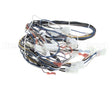 B6758901 Pitco Wrg,Cntrl Lft/Sgl Se W/Em99