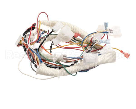 B6759501 Pitco Wiring,Spinal Tap Lower Fbg