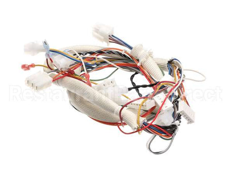 B6759501 Pitco Wiring,Spinal Tap Lower Fbg