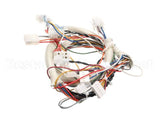 B6759501 Pitco Wiring,Spinal Tap Lower Fbg
