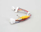 B6760401 Pitco Wiring,Relay Brd/Control Lt Fuse Mg