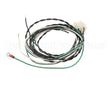 B6778780-C Pitco Wiring,18Kw 1986 Wire Box W/Comp