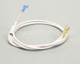 B6779850 Pitco Wr Radix Assembly.