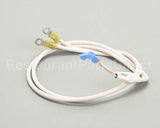 B6779850 Pitco Wr Radix Assembly.