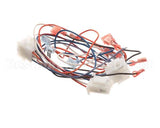 B6781001 Pitco Wiring,Single Control Pnl Mkgei