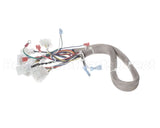 B6781901 Pitco Wrg, Lv Srte Harness