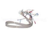 B6781901 Pitco Wrg, Lv Srte Harness