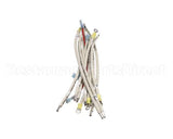 B6782001 Pitco Wiring,Hv 1Ph 3Ph Delta Srte
