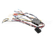 B6783202-C Pitco Wiring,Bzl Dig Cpi Au-On Dc Srtg