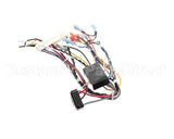 B6783202-C Pitco Wiring,Bzl Dig Cpi Au-On Dc Srtg
