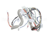B6784501 Pitco Wiring,Spnl Tap Lower W/Rel Brd 55T