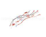 B6788301 Pitco Gpc W/Sstc Wiring