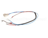 B6790901 Anets Wrg,Mvolt Hi-Lim Rmt Tstat