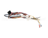 B6796201 Pitco Wiring,Bzl Cpi W/Dc Tb-Srt