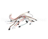 B6807501 Pitco Wrg,Harn Com Box Sos