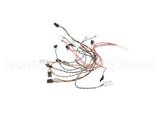 B6807501 Pitco Wrg,Harn Com Box Sos