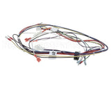 B6811201 Pitco Wrg,Heat Control Self