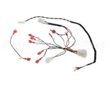 B6811701 Pitco Wrg,Gas Valve & Ign Sglvrf