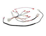 B6811701 Pitco Wrg,Gas Valve & Ign Sglvrf