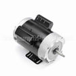 B765 Century Jet Pump Motor