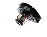 BLWR-240-50 Food Warming Blower Assembly 240V, 50Hz