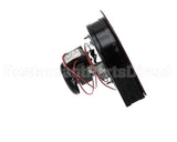 BLWR-240-50 Food Warming Blower Assembly 240V, 50Hz
