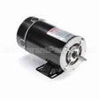 BN35V1 Century Pool And Spa Pump Motor