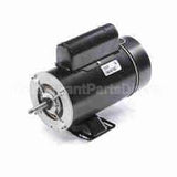 BN50V1 Century Pool And Spa Pump Motor
