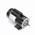 BN61 Century Pool And Spa Pump Motor