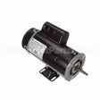 BN63 Century Pool And Spa Pump Motor