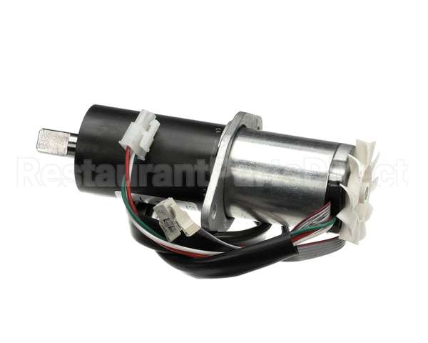 BR0119 Stoelting Gear Motor Assembly