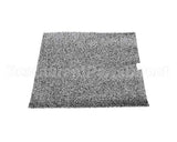 BR0176 Stoelting Condenser Filter