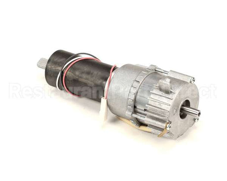 BR0256 Stoelting Complete Gear Motor