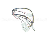 BU195-601 Rinnai Modulating Solenoid Valve Harn 24