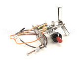 C10030-00-C Anets Pg,Assembly Plt Mg/Sg Grills Svc