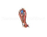 CB-35777 Alto Shaam Cable,Can Control Board To Vfd