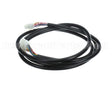 CB-46009 Alto Shaam 10 Pin Wire Harness, 6Ft Long